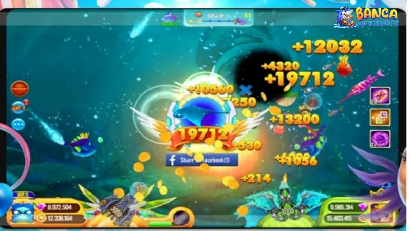 Tìm mục nhập code