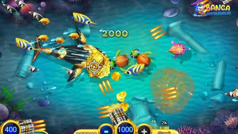 Ưu nhược điểm của 3 gods fishing