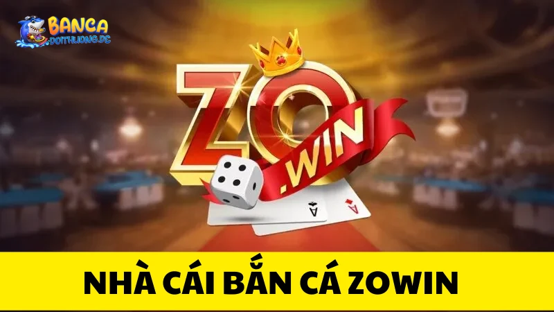 Tổng quan về Zowin
